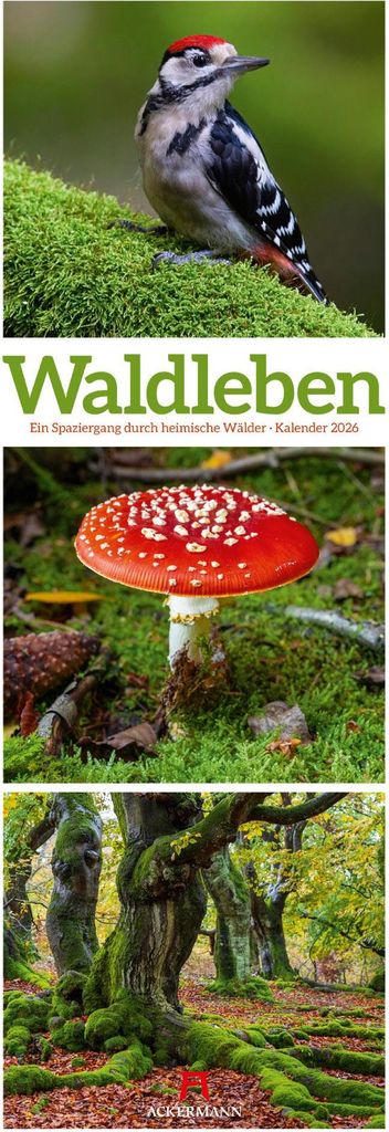 Waldleben Triplet-Kalender 2026