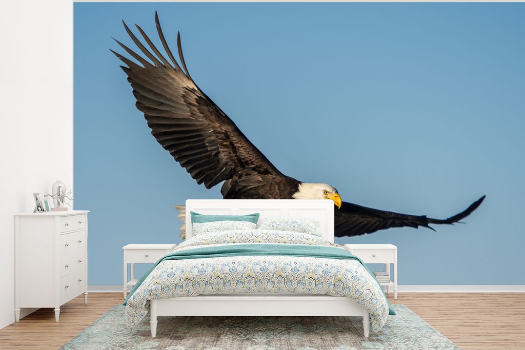 MuchoWow Fototapete für Wohnzimmer oder Schlafzimmer Wandtapete Vinyl Motivtapete Vogel - Adler - Raubvögel - 350x260 cm - Wohnzimmer-Tapete