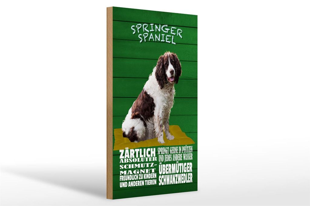 Holzschild Spruch 20x30cm Springer Spaniel Hund zärtlich