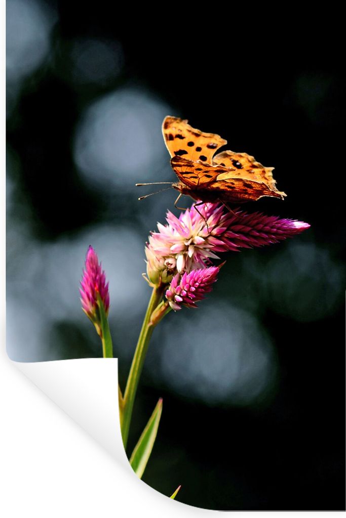 MuchoWow Wandtattoo Wandsticker Wandaufkleber Schmetterling - Blumen - Insekten 80x120 cm Selbstklebend und Repositionierbar - Repositionierbar -...