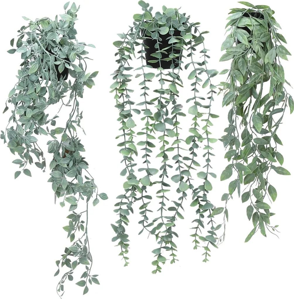 Plantes suspendues sans entretien lot de 3 pots blanc laiteux