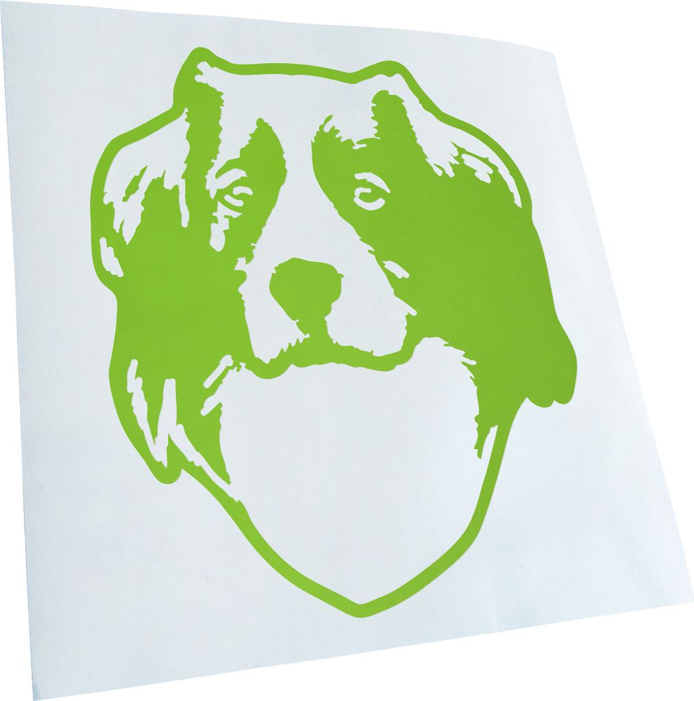 Kiwistar - Autoaufkleber - kooikerhondje Hund - Lindgrün - 30x25cm - Aufkleber für Auto, Laptop, Fahrrad, LKW, Motorrad mehrfarbig JDM Decal Racing