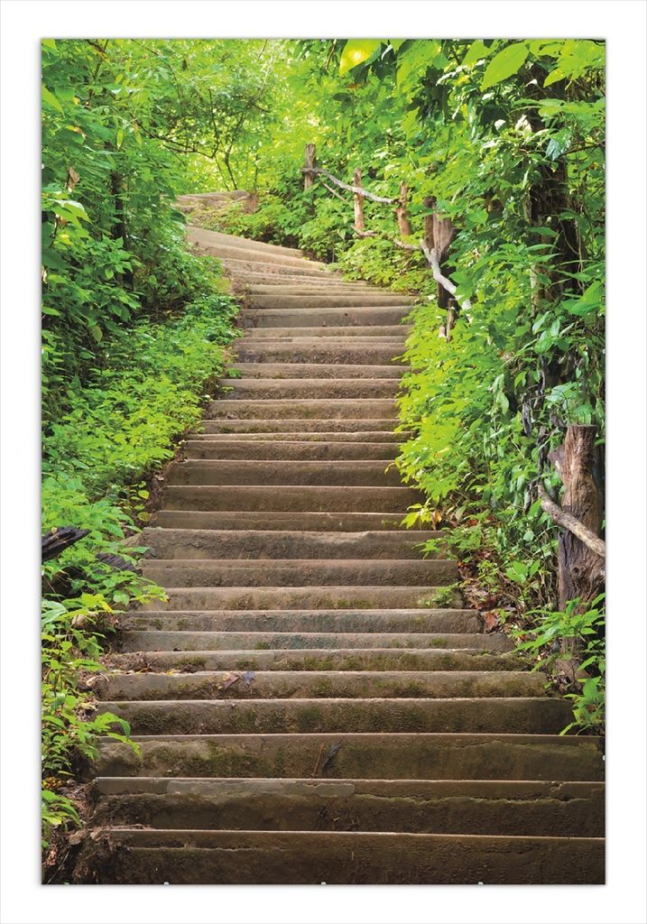 Wallario Wandbild Steintreppe im Wald, Größe: 61 x 91,5 cm, Poster mit rahmenlosen Bildhalter