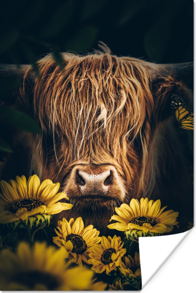 MuchoWow Poster Schottische Highlander - Blumen - Kuh - Botanisch - Tiere 120x180 cm - Kunstposter