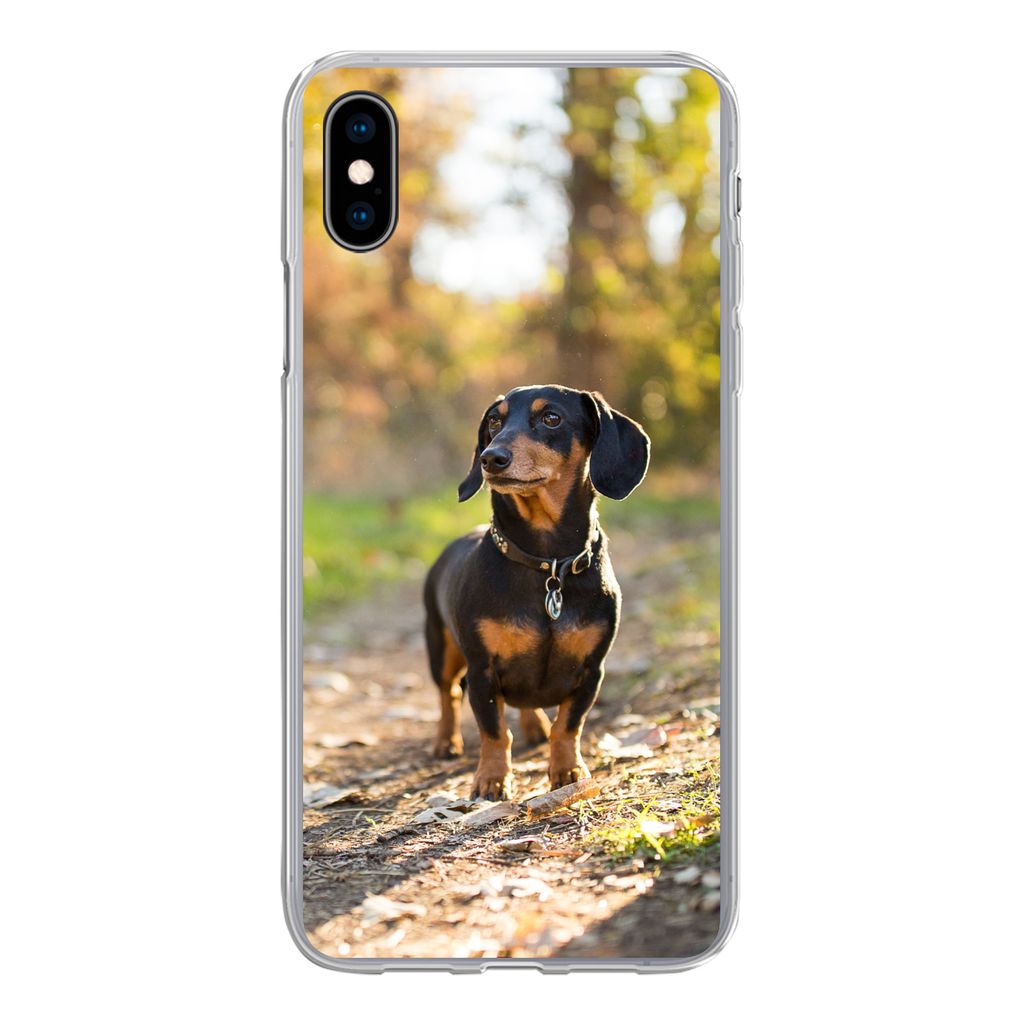 MuchoWow Handyhülle Schutzhülle Hülle für iPhone Xs Ein schöner Dackel im Wald Silikon Softcase Handy Hülle - Handytasche
