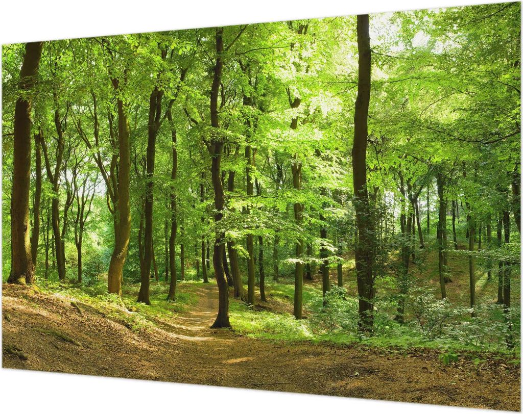 Wandtapete - Dekorative Tapete für Wohnzimmer- Tapetenfolie für Wanddekoration - 104x70 cm - Natürlicher Weg