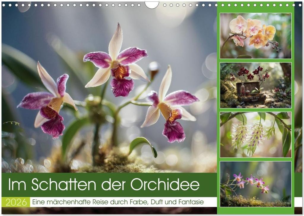 Im Schatten der Orchidee (Wandkalender 2026 DIN A3 quer), CALVENDO Monatskalender
