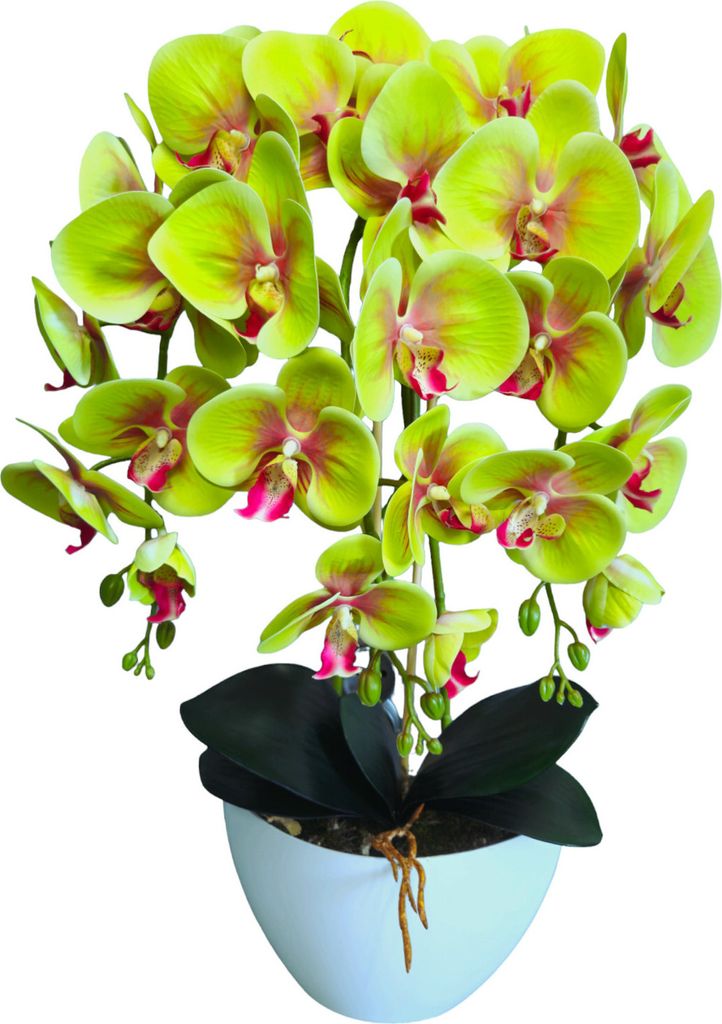 Damich 3pgz orchidea artificiale, verde, in gomma, come se Immagine del prodotto 