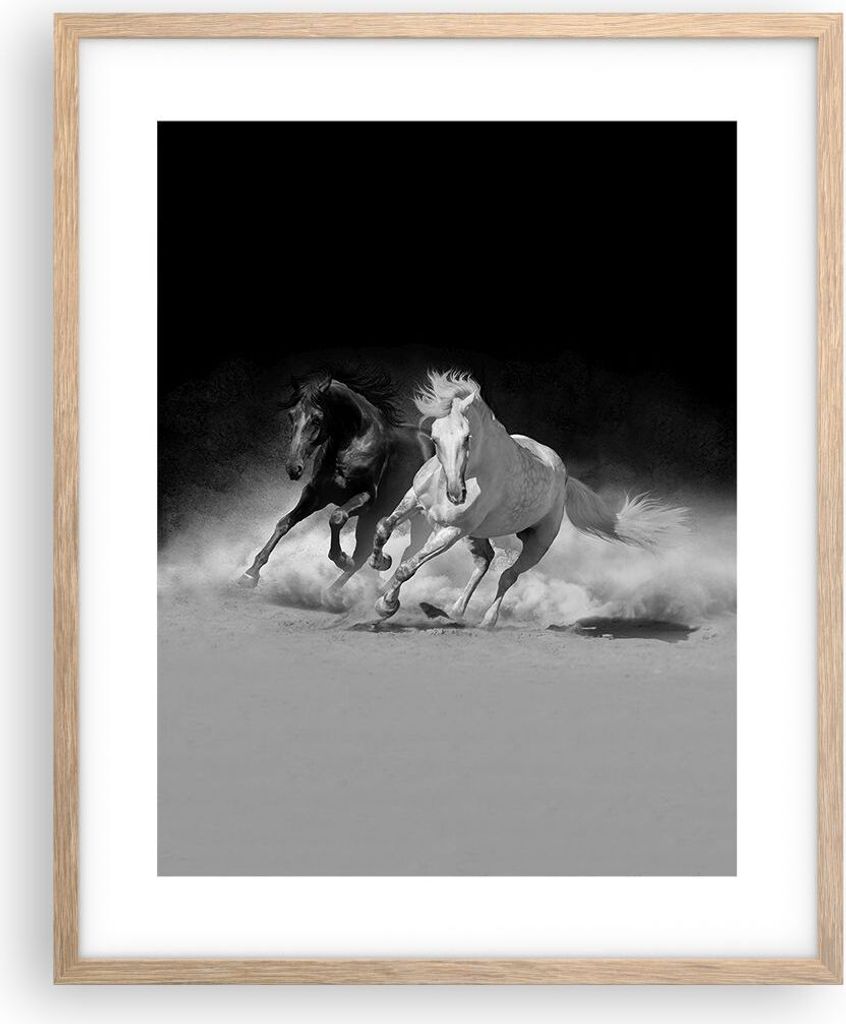 Gerahmtes Poster - Rahmen in heller Eiche - Andalusier Pferde Galopp - 40x50 cm - Wand Bild - Wanddeko - Wandbilder - Wandposter - Bilderrahmen - B...
