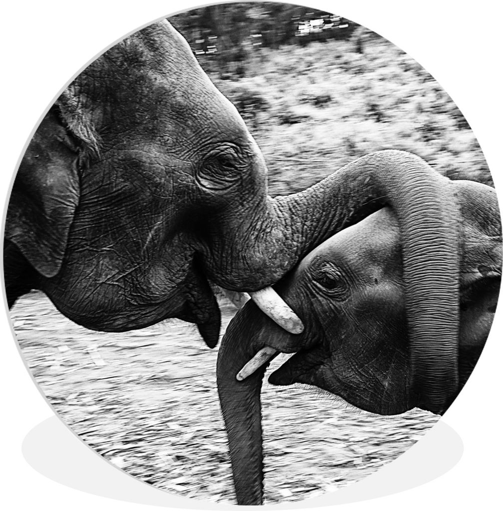 MuchoWow Rundes Wandbild - Runde Bilder Elefant - Tiere - Natur - Schwarz und weiß Ø 60 cm Kreis Wanddekoration Kunststoff - Wandkreis - Wandsc...
