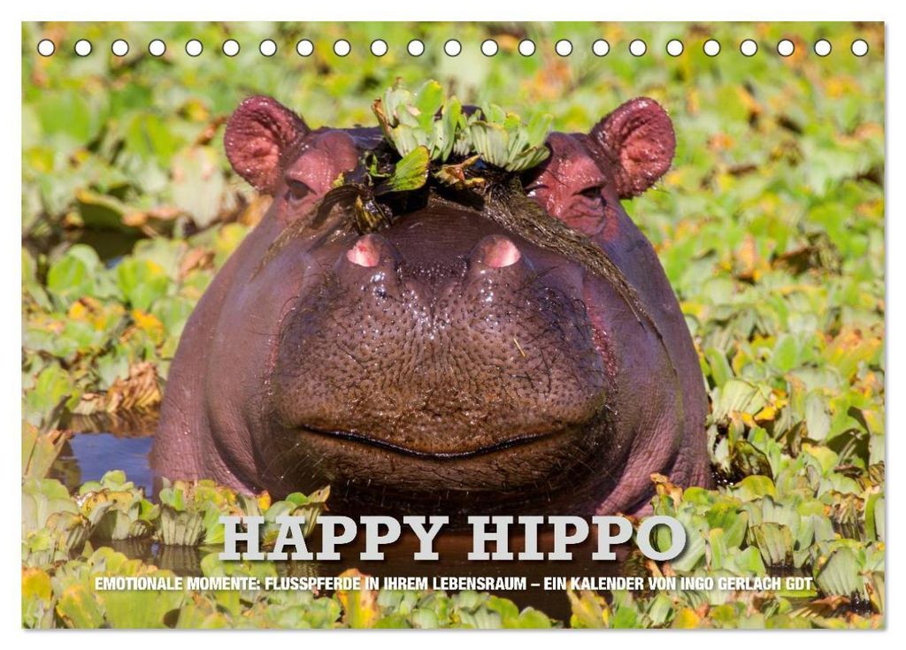 Emotionale Momente. Happy Hippo / CH-Version (Tischkalender 2027 DIN A5 quer), CALVENDO Monatskalender