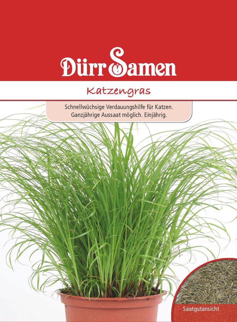 Dürr-Samen - Katzengras - Saatgut - 0223 Produktbild 