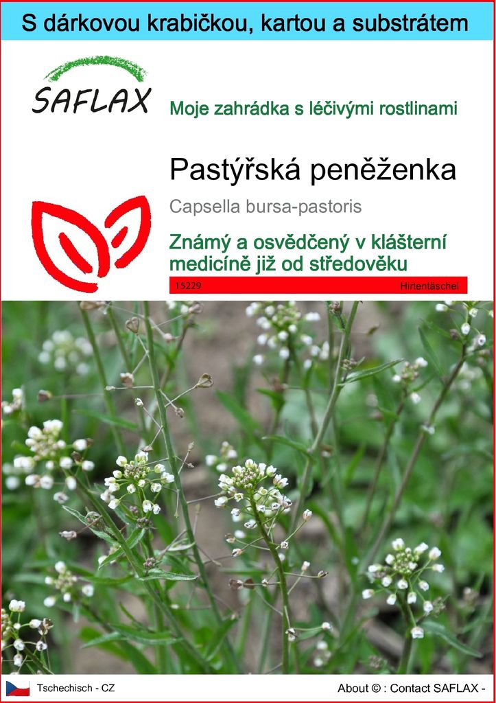 SAFLAX Dárková sada - pastýřská peněženka - Capsella Obrázek produktu 