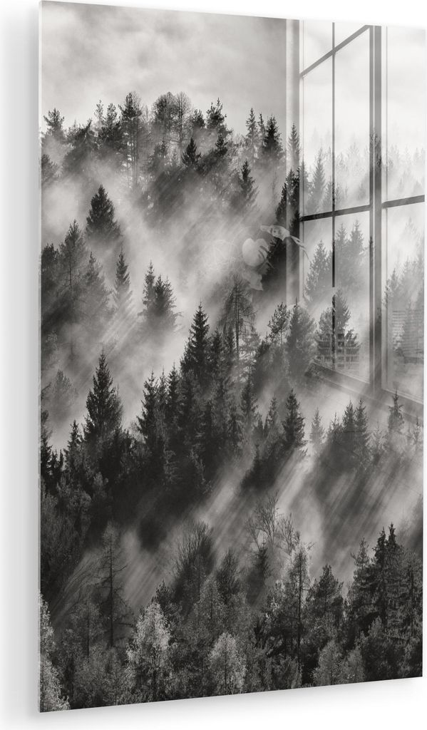 MuchoWow Glasbilder - Bilder auf Wandbild - Foto auf Glas Landschaft - Nebel - Wald - Natur 60x90 cm Wanddekoration aus Glas - Acrylglasbild - Acry...