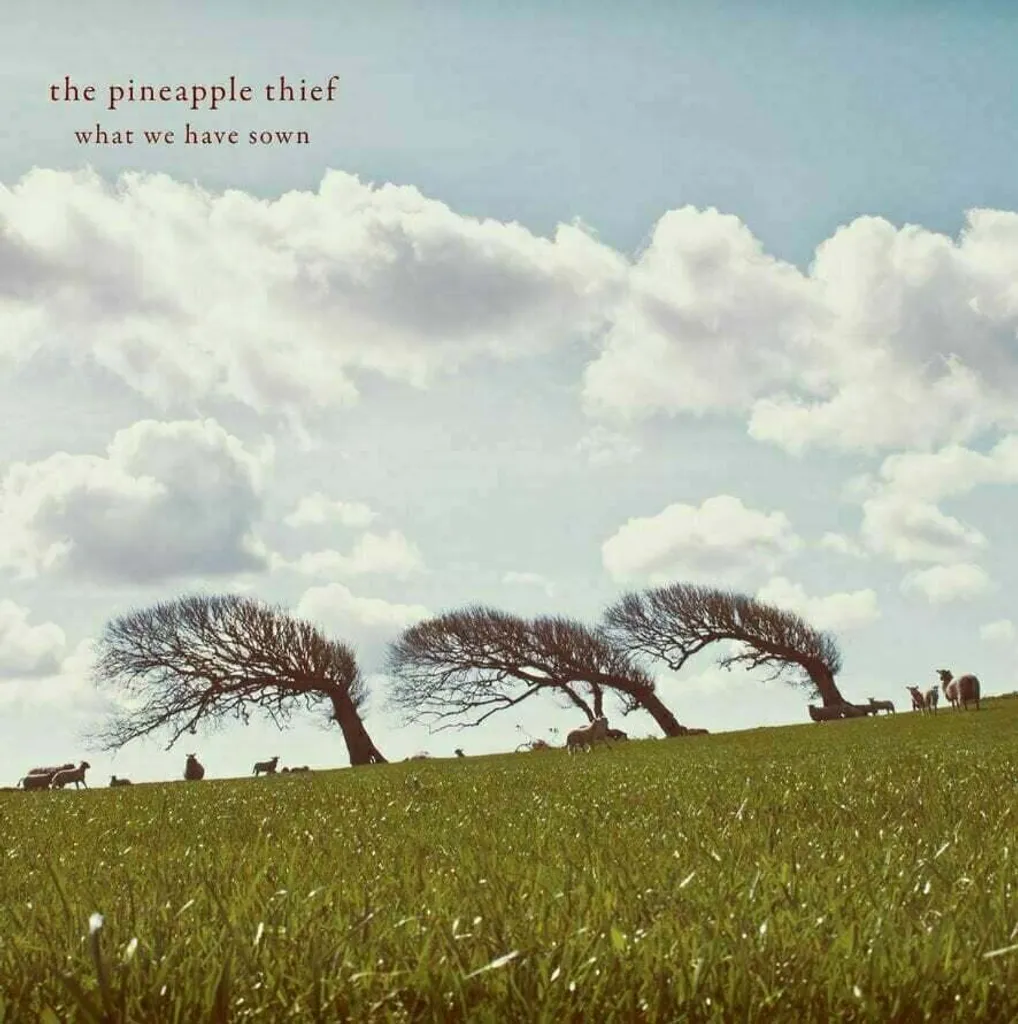 The Pineapple Thief What We Have Sown Double Vinyle LP Progressif