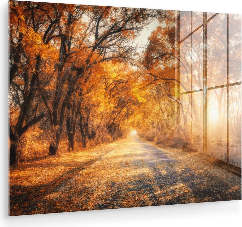 MuchoWow Glasbilder - Bilder auf Wandbild - Foto auf Glas Wald - Herbst - Bäume - Waldweg - Natur 40x30 cm Wanddekoration aus Glas - Acrylglasbild...