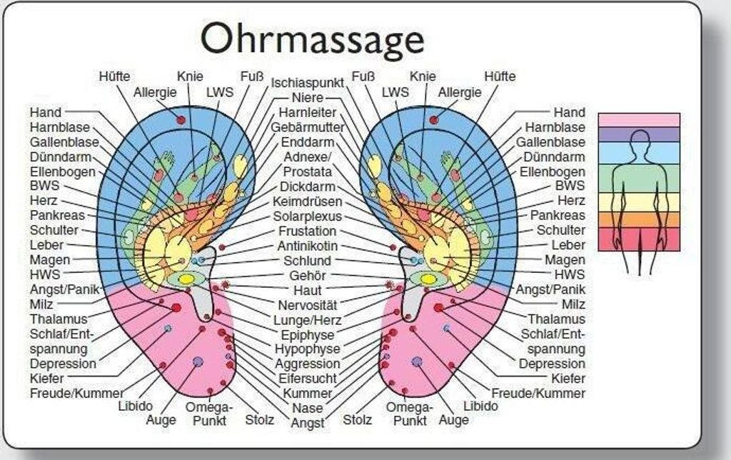 Reflexzonenmassagekarte \Ohr\""