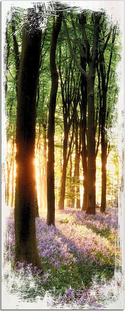 Wallario Kunstdrucke Wandbilder Holz in : Brillante Farben, Größe 50 x 125 cm Motiv Blaue Hasenglöckchen im Wald mit Sonnenstrahlen
