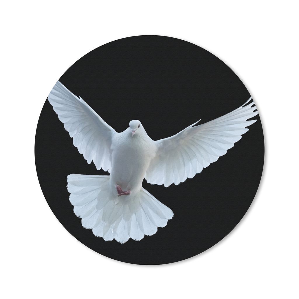 MuchoWow Mauspad Mousepad Taube - Vogel - Schwarz - Weiß - Porträt 40x40 cm - Mousepads - Maus Mat - Pad - Mausunterlage - Schreibtisch Accesso...