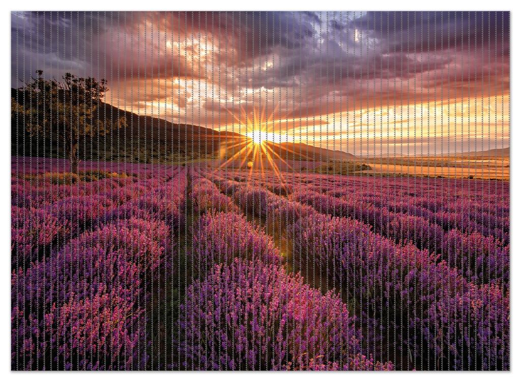 Wallario Duschmatte Antirutschmatte Badmatte Fußmatte Lavendelfeld bei Sonnenuntergang - Sonnenstrahlen, Größe ca. 90 x 65 cm