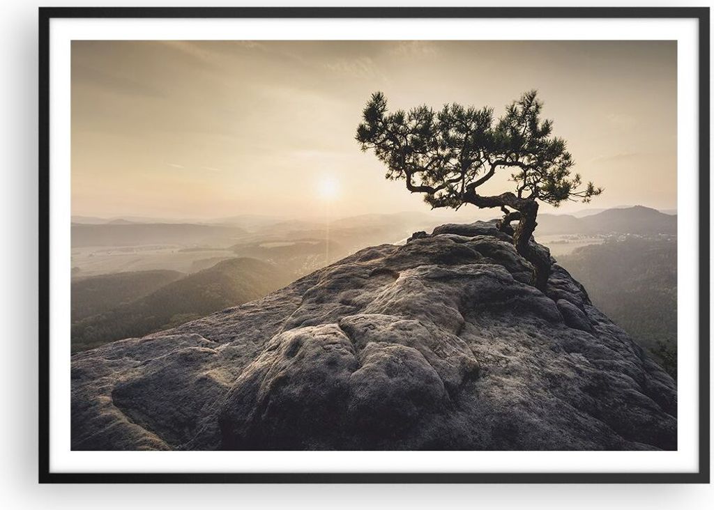 Gerahmtes Poster - Schwarzer Rahmen - Alt Kiefer Berge - 100x70 cm - Wand Bild - Wanddeko - Wandbilder - Kunstposter - Wandposter - Bilderrahmen - ...