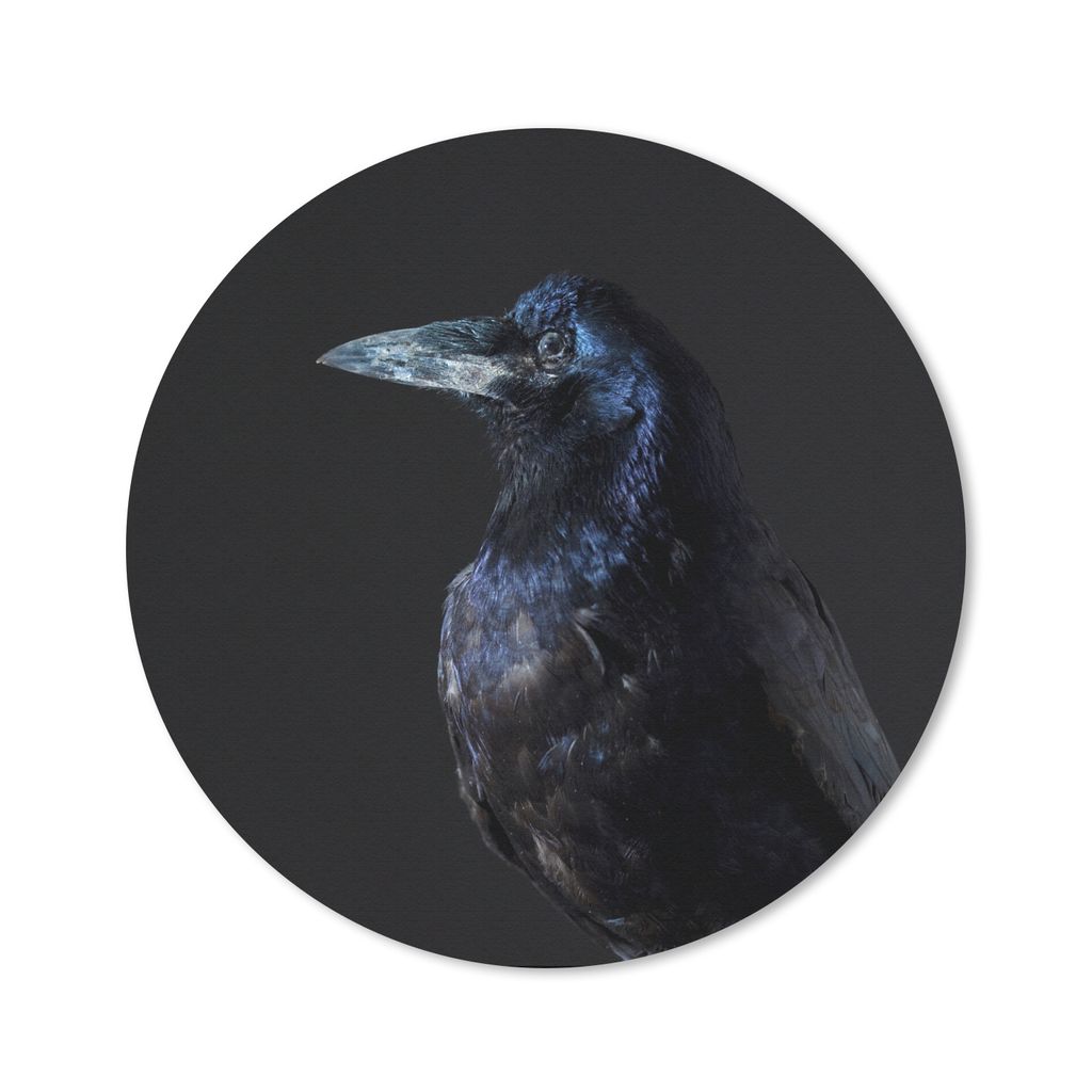 MuchoWow Mauspad Mousepad Vogel - Tiere - Schwarz 20x20 cm - Mousepads - Maus Mat - Pad - Mausunterlage - Schreibtischmatte