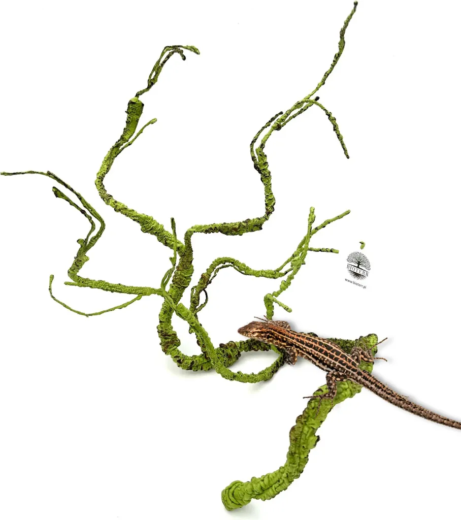 Crea una Foresta Tropicale con BioBranch Liana Verde M 115cm