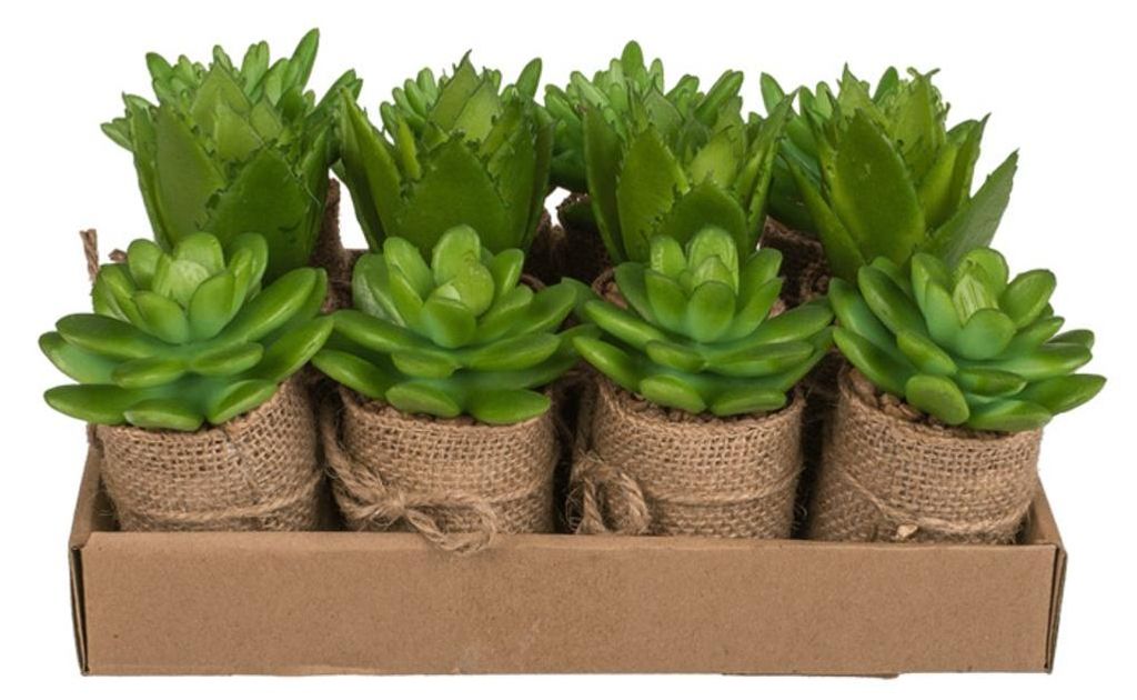 OOTB Deko-Sukkulente im Topf mit Jutestoff Produktbild 