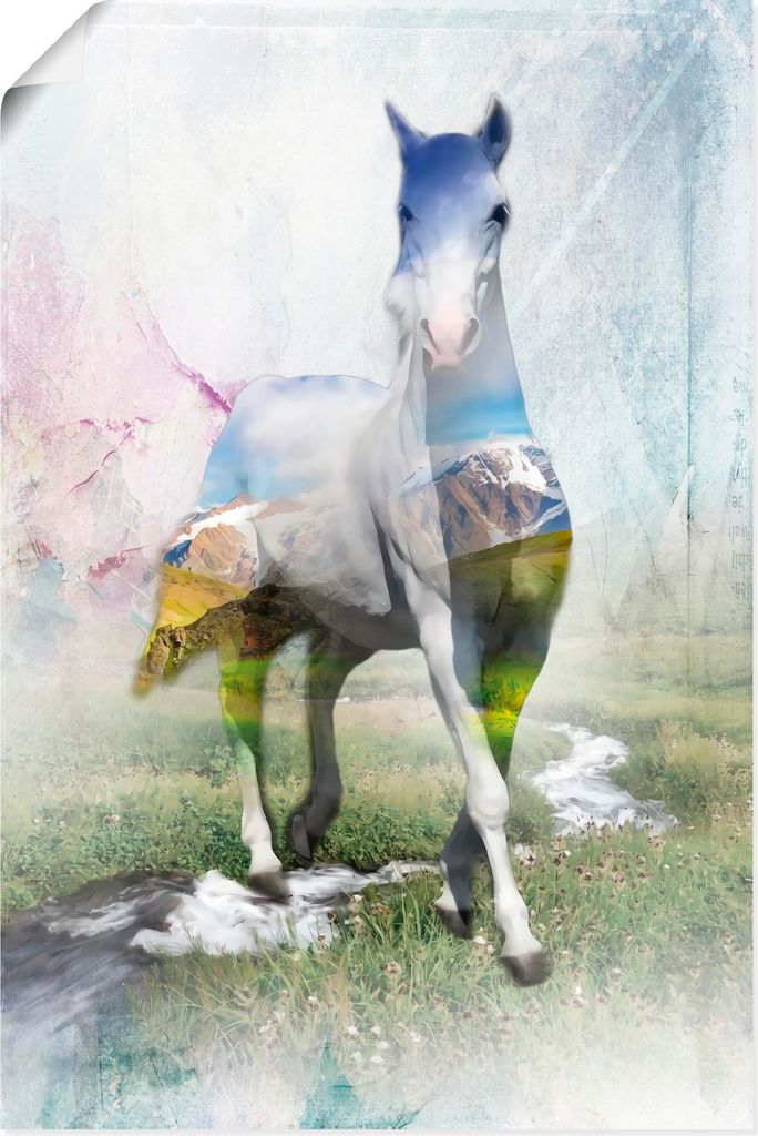 ARTland Poster Schönes Pferd in der Natur IV Größe: 60x90 cm