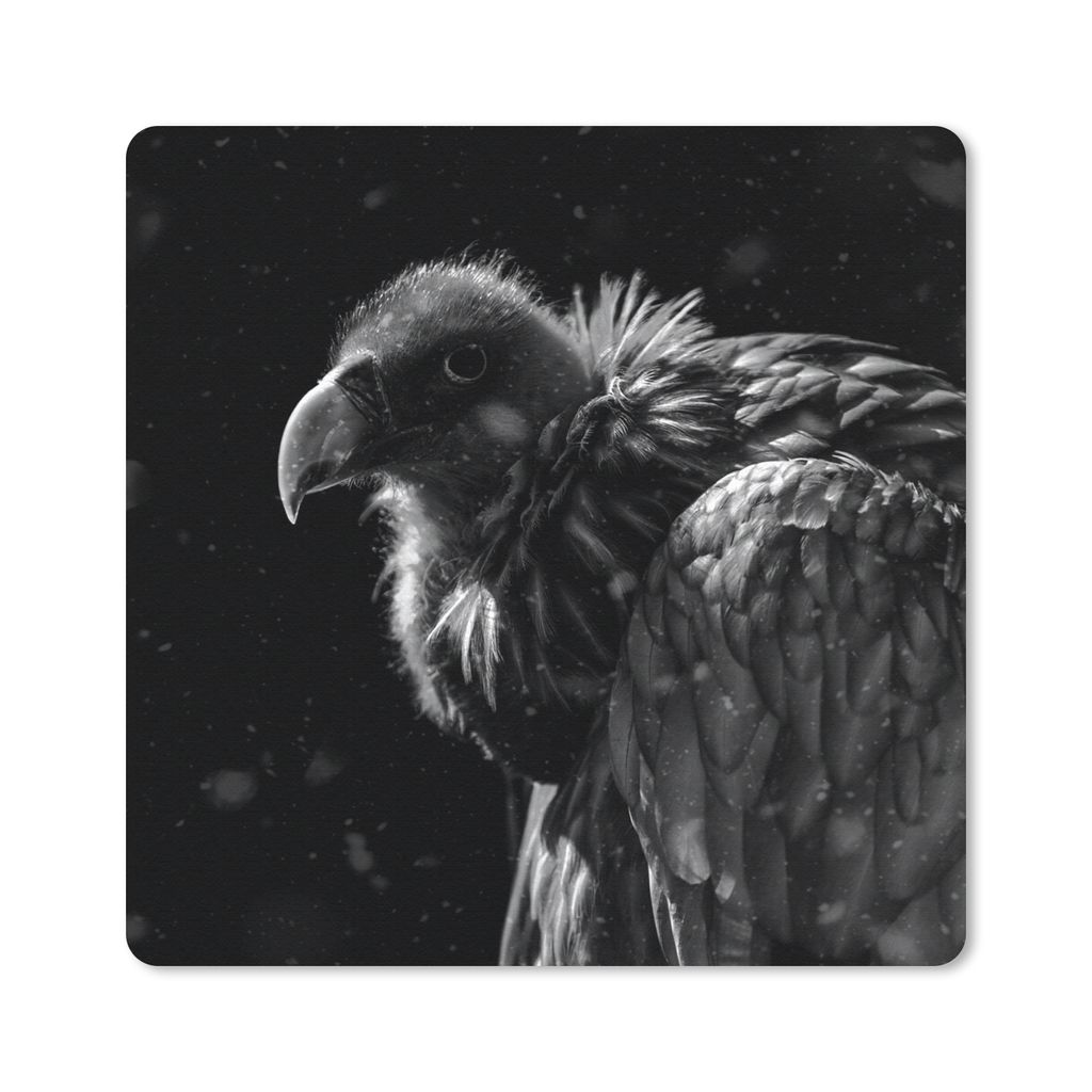 MuchoWow Mauspad Mousepad Porträt eines Goldgeiers vor schwarzem Hintergrund - schwarz-weiß 20x20 cm - Mousepads - Maus Mat - Pad - Mausunterla...