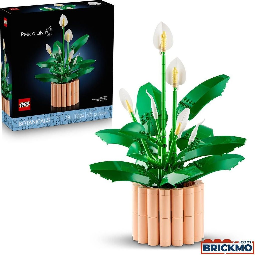 LEGO Botanicals Mírový lilie 11504 Obrázek produktu 