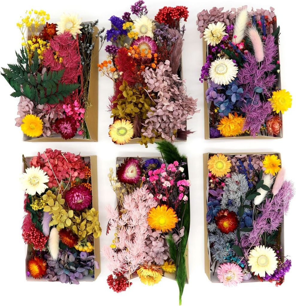Trockenblumen Set zum Basteln, als Boho Deko und DIY Produktbild 