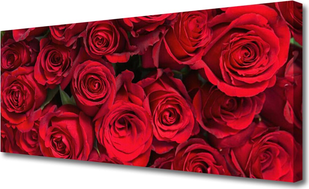 Tulup Leinwand-Bilder 125x50 Wandbild Canvas Kunstdruck Rosen Pflanzen