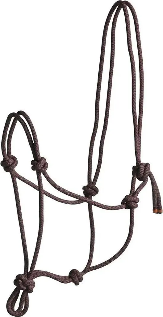 Norton First Halfter Braun Full | Prezzo Shock Capezza Cavallo Marrone - 1