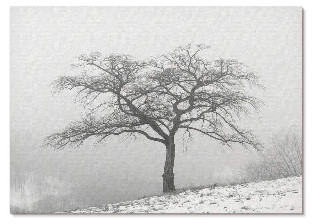 POSTER - 29x21 cm (A4) - Nitrozine - Einsamer Baum, Winterfrieden, Minimalismus, Harmonie - Wandbild für Wohnzimmer Schlafzimmer & Flur, Modernes ...