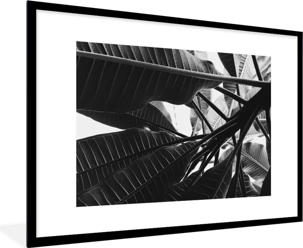 MuchoWow Gerahmtes Poster Palmenblatt - Tropisch 90x60 cm - Poster mit Schwarzem Bilderrahmen Wandposter Rahmen Foto Bilder - Wanddekoration - Fotos