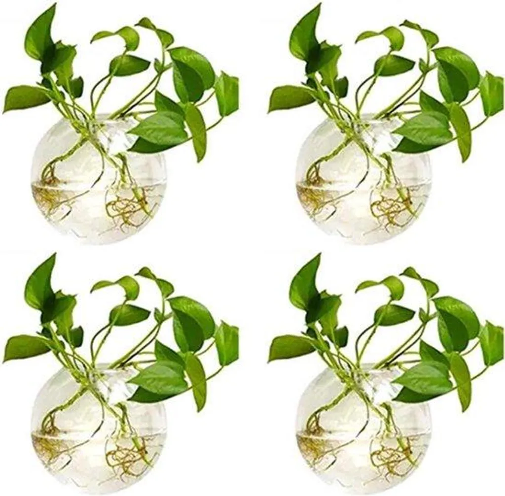 Décoration murale gain de place : 4 coupes en verre pour petits espaces