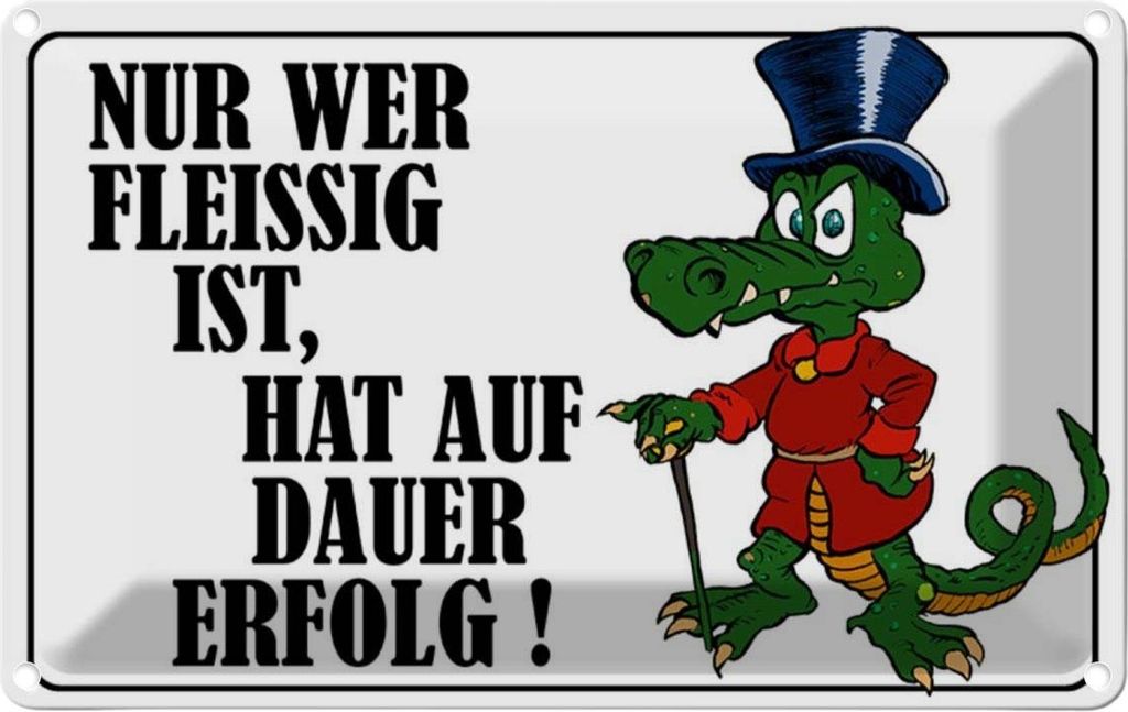 vianmo Blechschild 12x18 cm Nur wer fleissig ist hat Erfolg Spruch Zitat