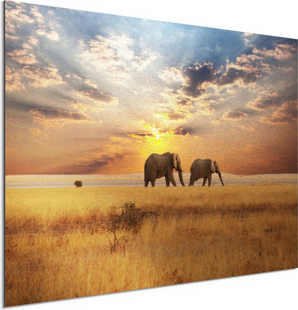 DEQORI Alu-Dibond Bild Silber 60x40 cm 'Elefanten in der Steppe' Wandbild Metall dünn