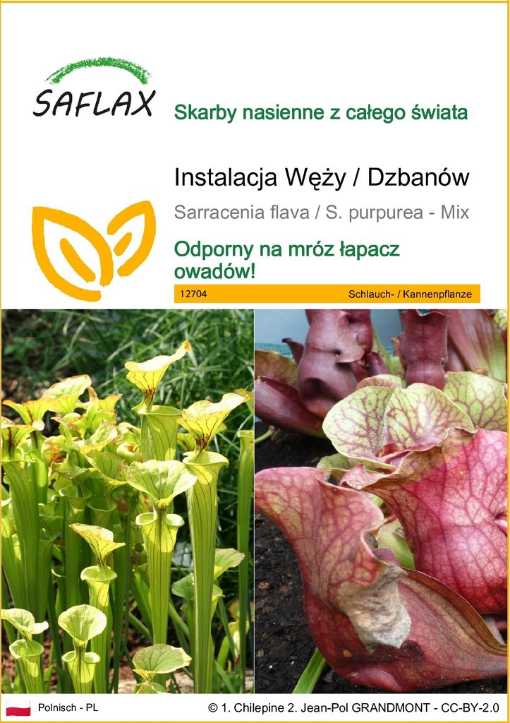 SAFLAX - Instalacja Węży / Dzbanów - 10 Nasiona - Zdjęcie produktu 