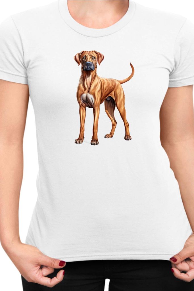 Damen T-Shirt Dogs Breeds Rhodesian Ridgeback Dog Breed 005, Lady S / Weiß
