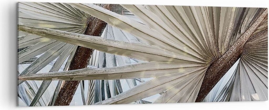 Bild auf Leinwand - Leinwandbild - Einteilig - Blatt Palme Natur - 140x50cm - Wand Bild - Wanddeko - Wandbilder - Leinwanddruck - Bilder - Wanddeko...