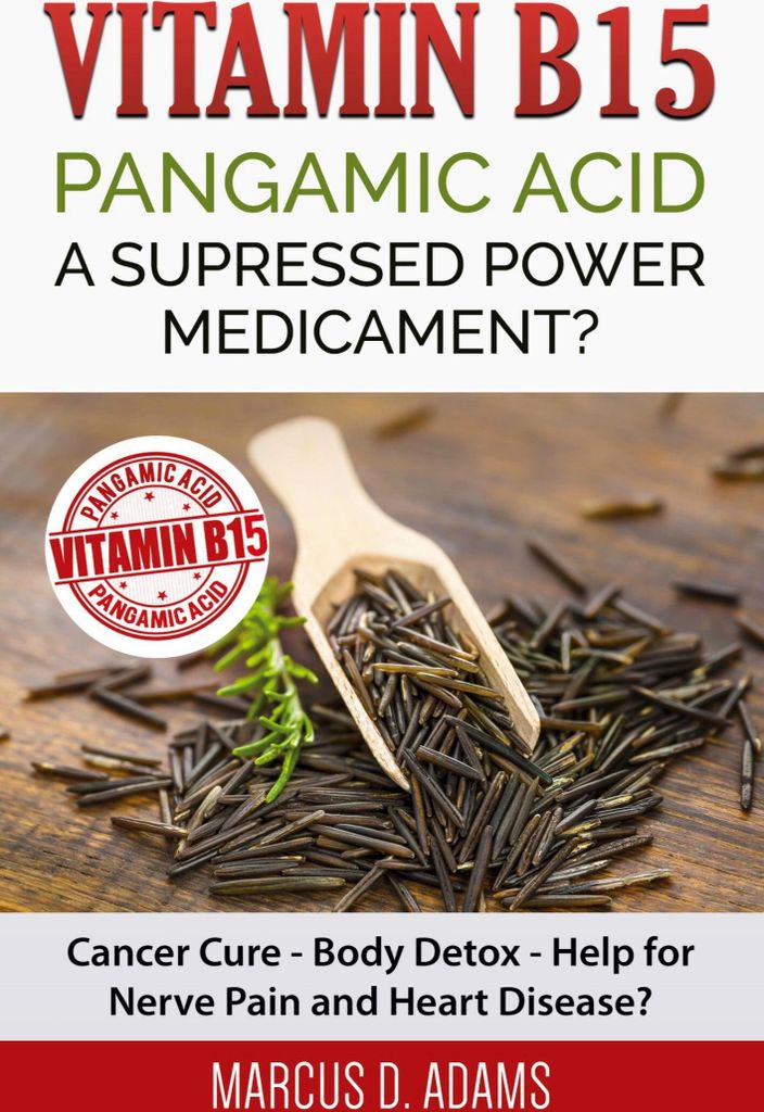 Vitamin B15 - Pangamic Acid: A Supressed Power Medicament?