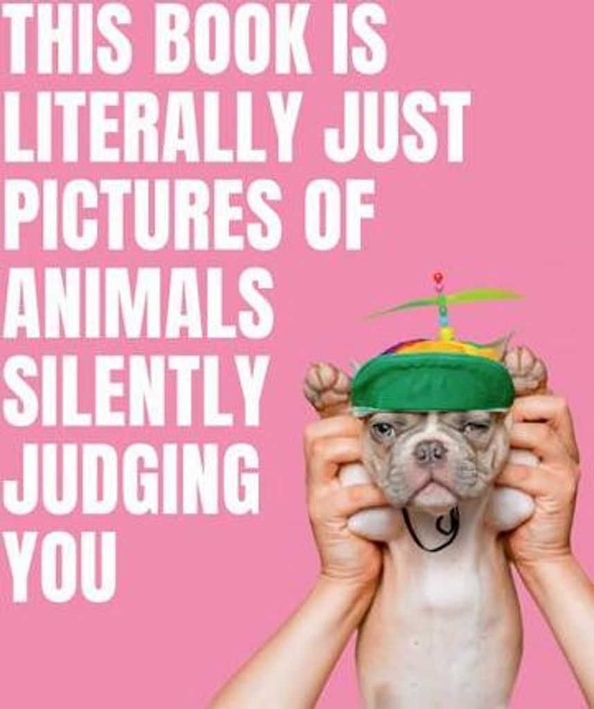 This Book is Literally Just Pictures of Animals Silently Judging You