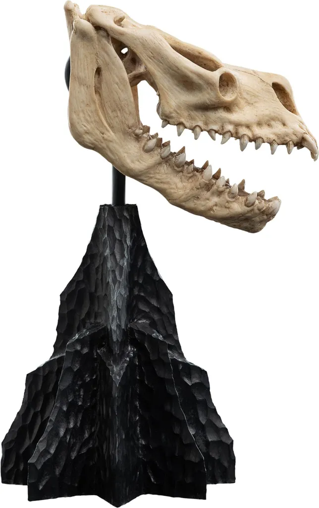 Objet de Collection Crâne de Bête Qualité Musée pour Vitrine de Fantasy - 6