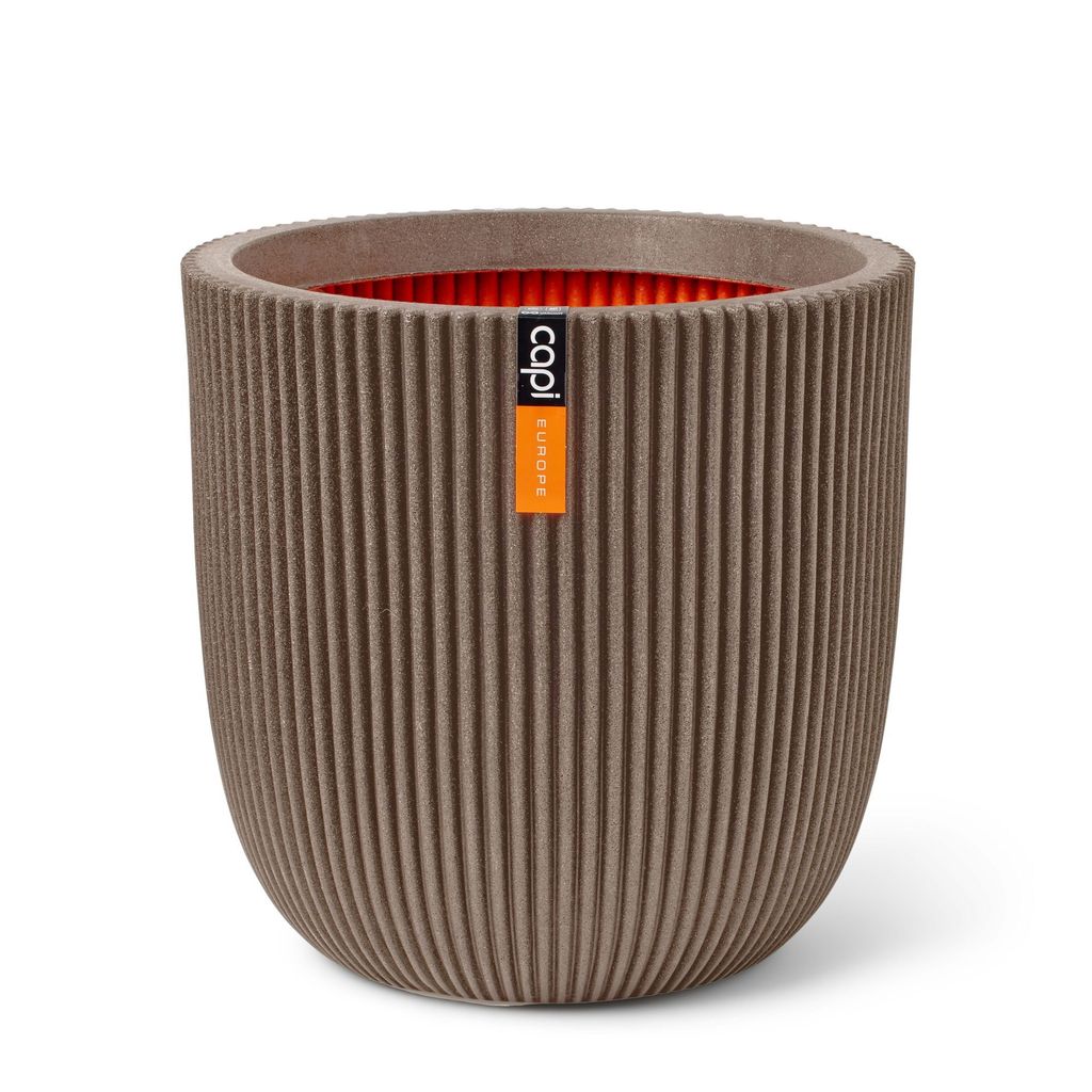 A single planter pot shown against a white background.