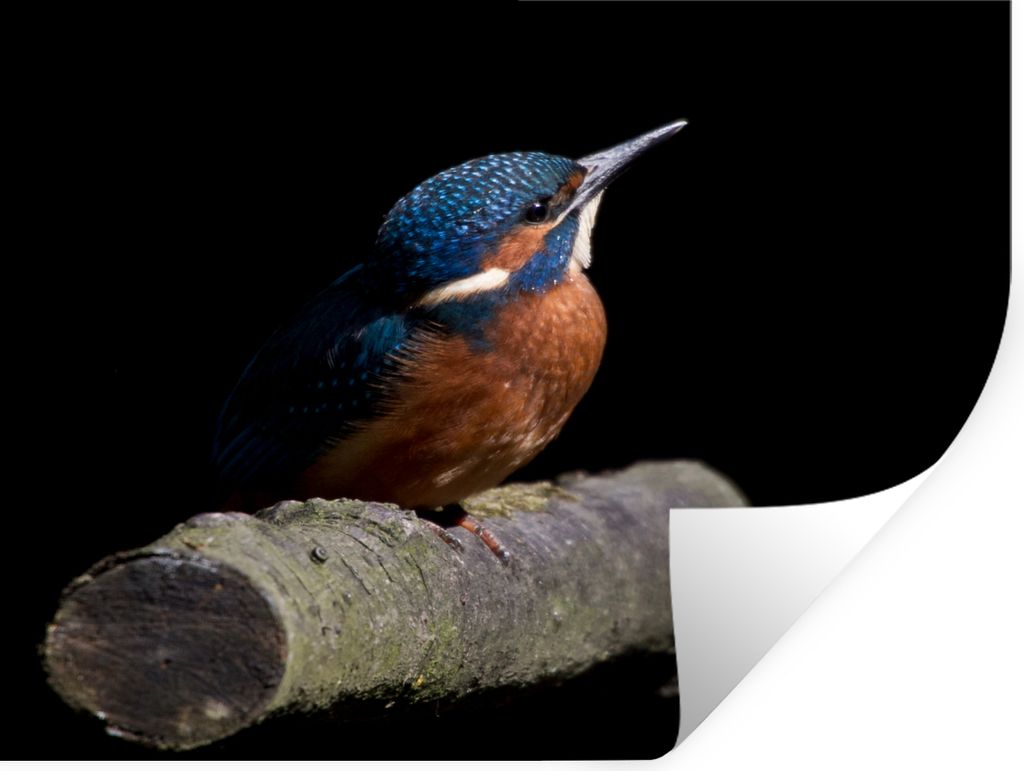 MuchoWow - Selbstklebend - Fototapeten