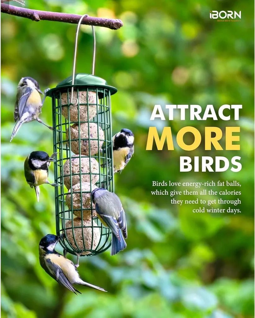 Distributeur métal pour boules de graisse oiseaux 26cm vert durable
