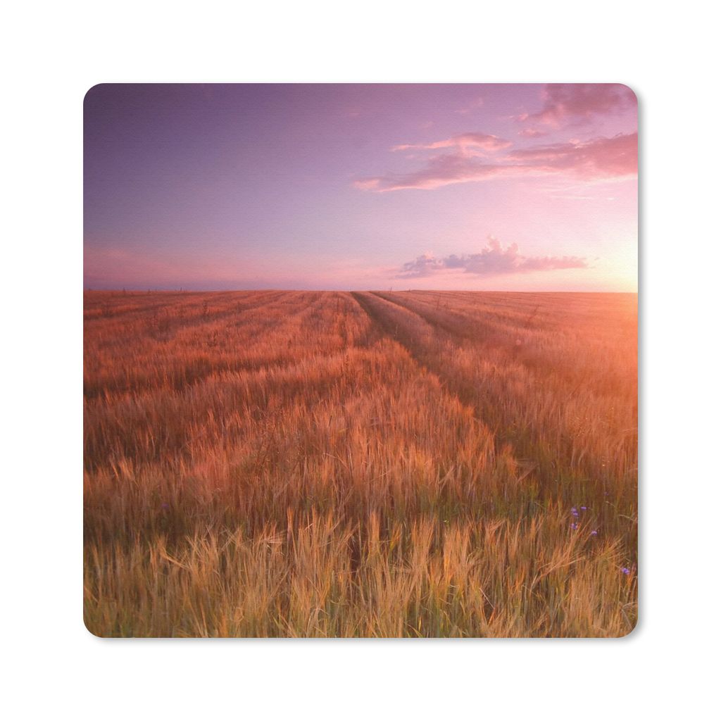 MuchoWow Mauspad Mousepad Wiese - Sonne - Abend - Landschaft 20x20 cm - Mousepads - Maus Mat - Pad - Mausunterlage - Desk Mat - Bureauartikeln