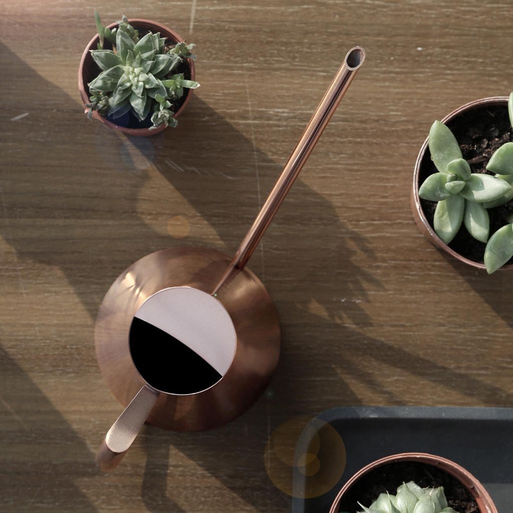 Haushaltsgießkanne aus Edelstahl, Topf, Gartengießkanne für Grünpflanzen und Blumen, Bronze